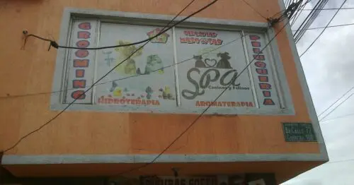 CASA DE LAS MASCOTAS CASA DE LAS MASCOTAS